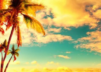 Surround yourself with positivity. Spend time with people who uplift you and engage in activities that bring you joy.