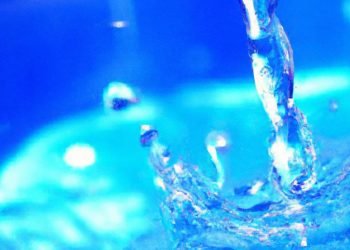 Water is crucial for hydration and can help with digestion and overall health.