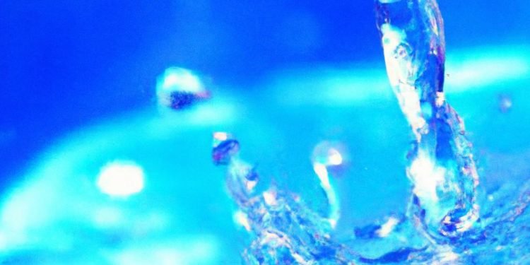 Water is crucial for hydration and can help with digestion and overall health.